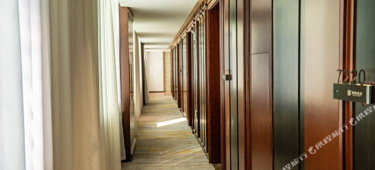 镇沅龍瑞酒店(火把广场店)图片