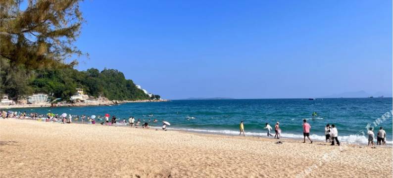 深圳海湾壹号民宿(官湖店)图片