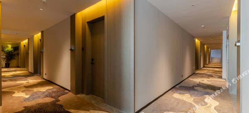 阿里未来花园酒店(梅冲湖地铁站店)图片