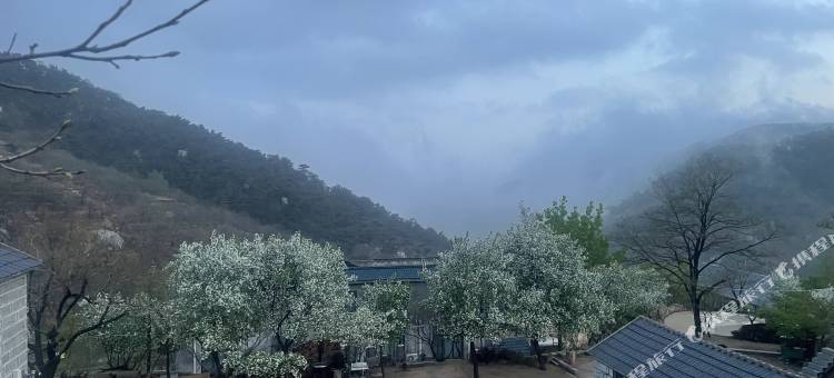 山上山农家院图片