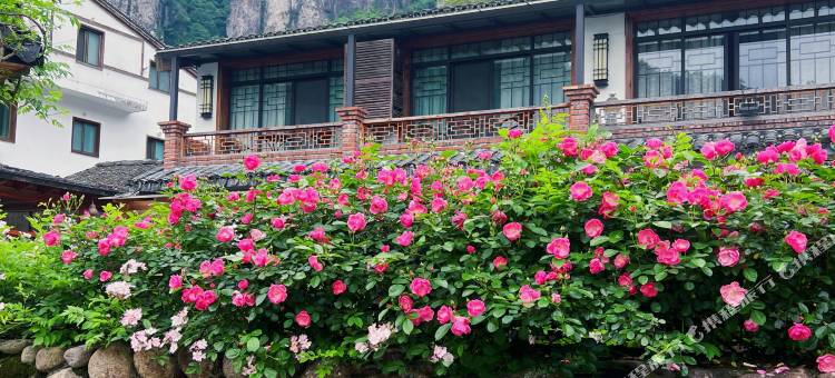 雁荡山雁园精品民宿图片