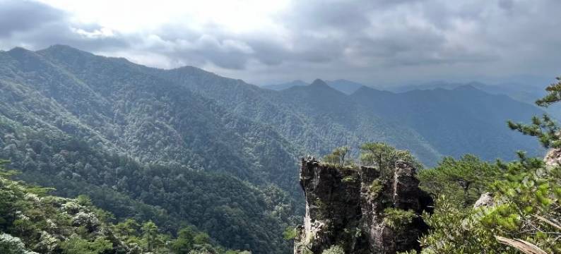 松阳梨庭别院民宿图片