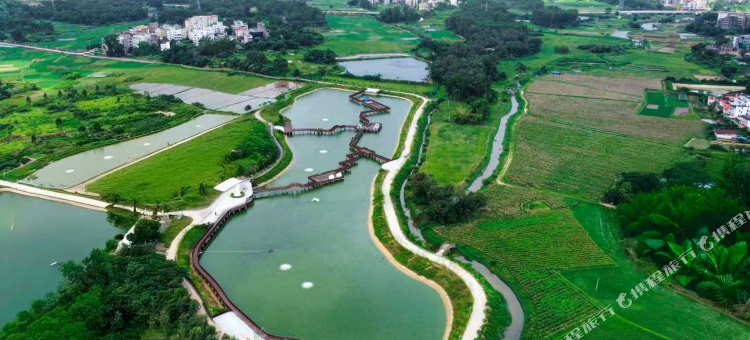 化州华讯温德姆酒店图片