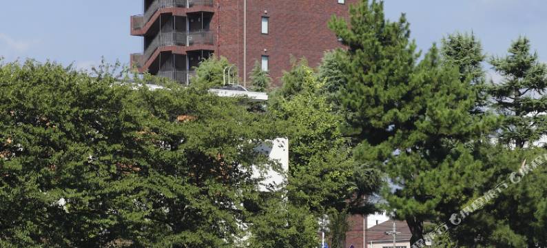 冈崎第一东翼酒店(Okazaki Dai Ichi Hotel East Wing)图片