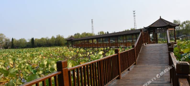 阜南南山宾馆图片