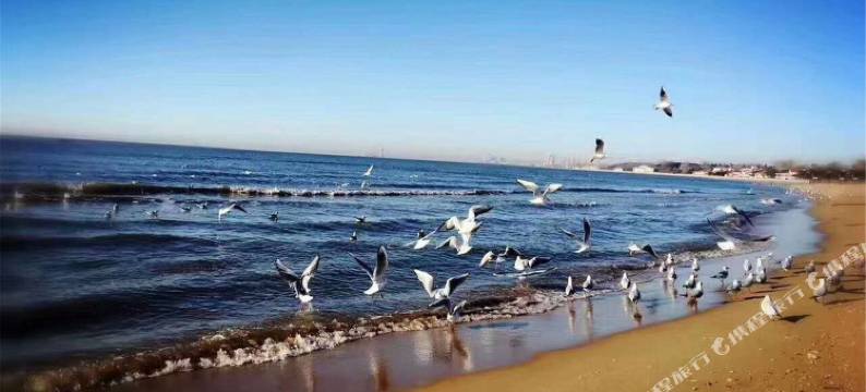 秦皇岛日出海景公寓图片