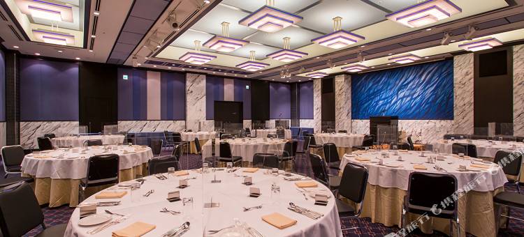 东京半藏门蒙特利酒店(Hotel Monterey Hanzomon)图片