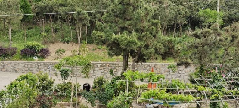 嵊泗小惠小庄图片