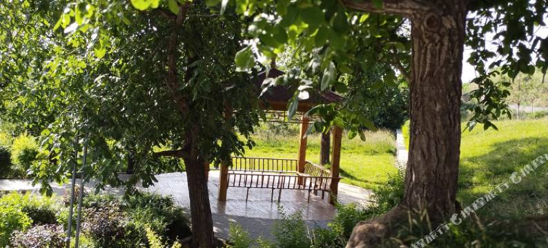 介休惠客农家院图片