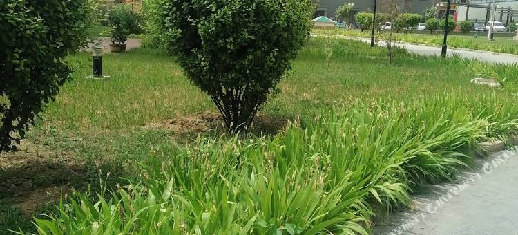 兰州花漾青云民宿(兰州文理学院店)图片