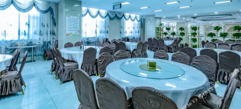 海西大柴旦守信龙之梦大酒店(翡翠步行街店)图片