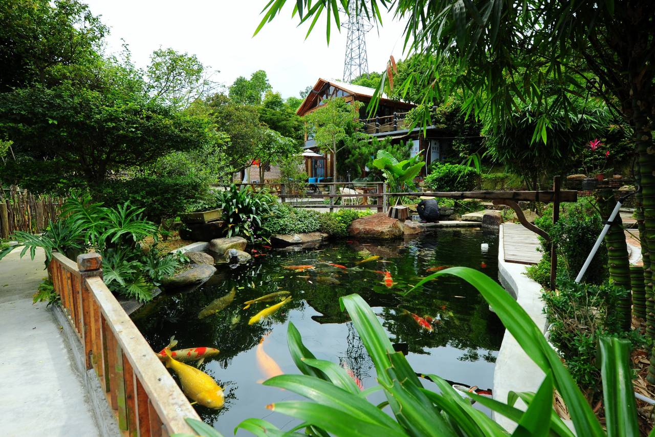 花筑·台山神川锦鲤度假山庄图片