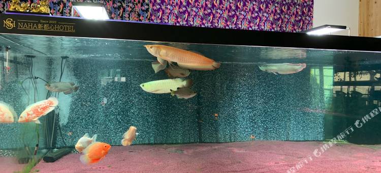 那霸新都心酒店(Naha Shintoshin Hotel)图片