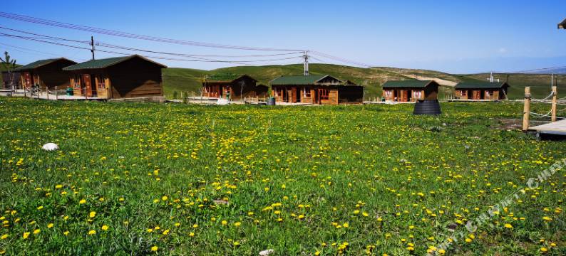 琼库什台四美营地图片