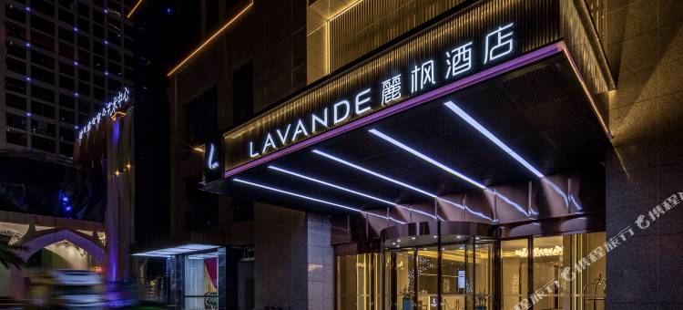 麗枫酒店(郴州大道汇金时代店)图片