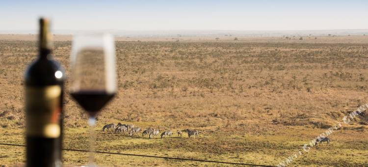 254塞雷尼真棒酒店(Ole Sereni)图片