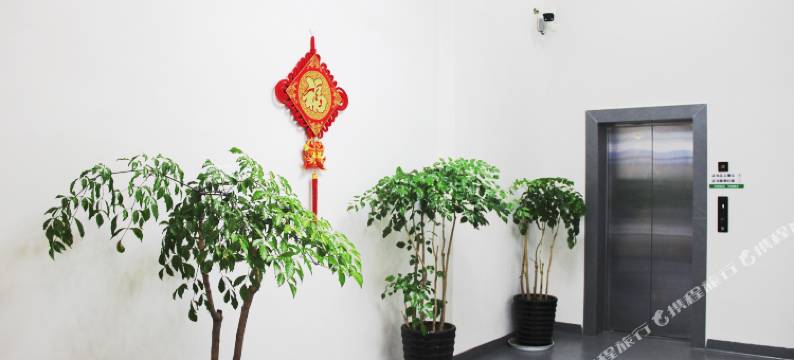 罗平花海印象客栈图片