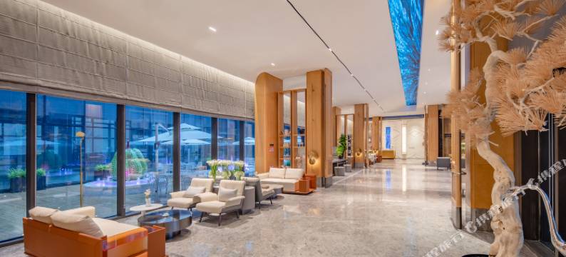 杭州临平瑞莱克斯大酒店图片