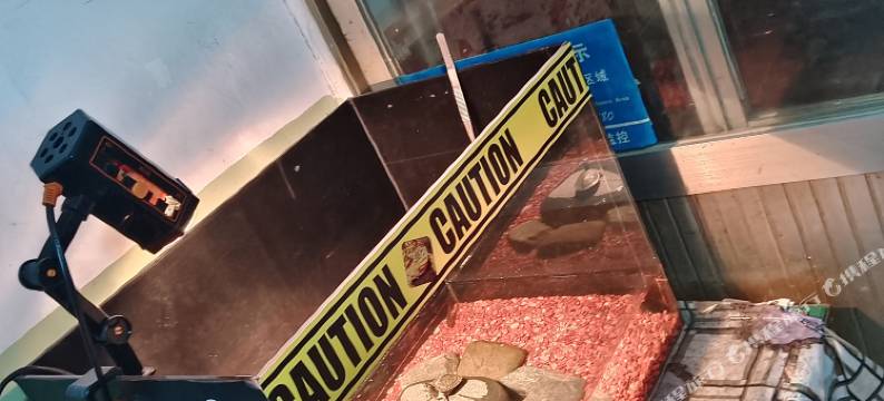 天水阳光旅社图片