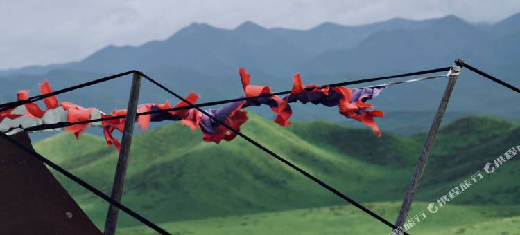 夏河珑达牧场图片