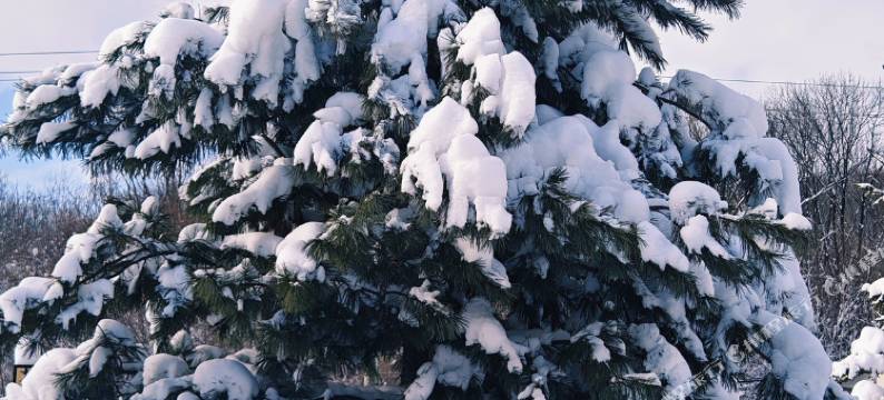 横道河子吉尔民宿图片