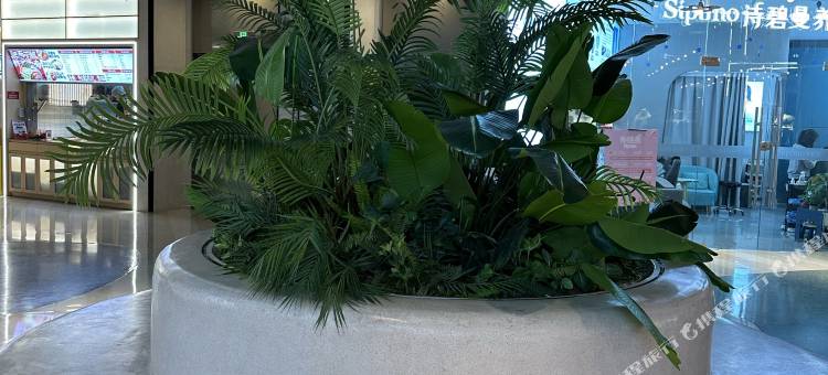 自由行青年民宿(上海火车站店)图片