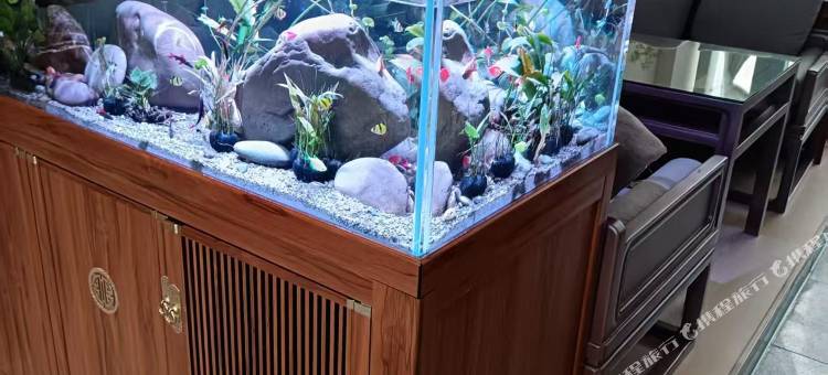 见山云剑度假酒店图片