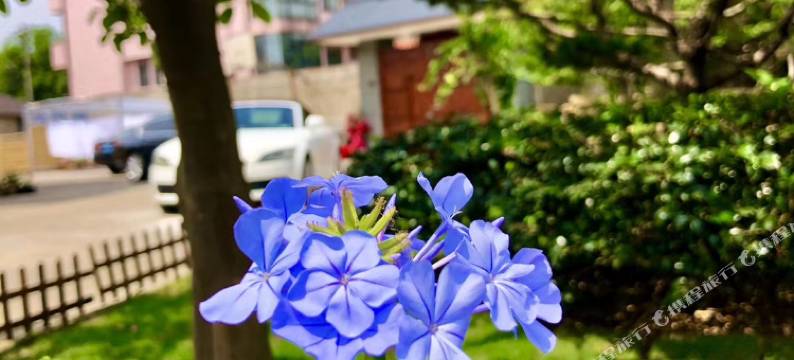 慈溪海如茂居别苑图片