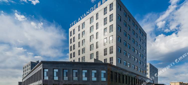 麗枫酒店(呼和浩特和林新区店)图片