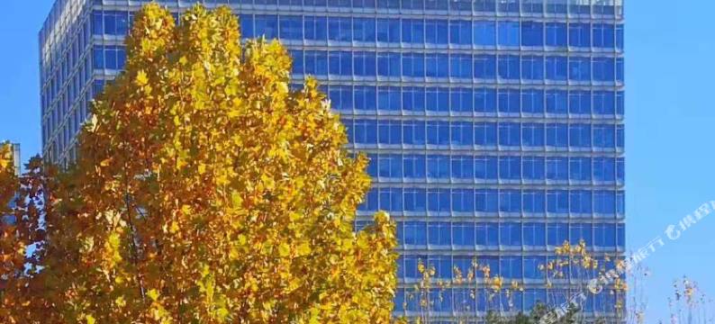 北京朝阳望京科技园亚朵酒店图片