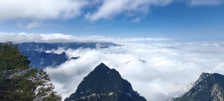 华山福庭民宿图片