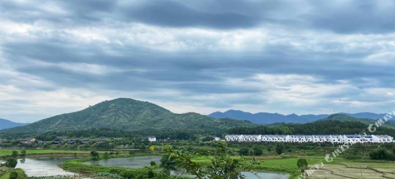 小森林度假酒店图片