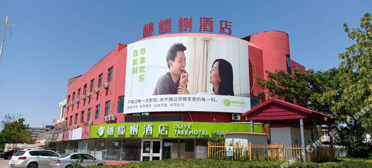 天津橄榄树酒店图片