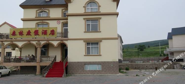 阿尔山森林度假酒店(阿尔山火车站市政府店)图片