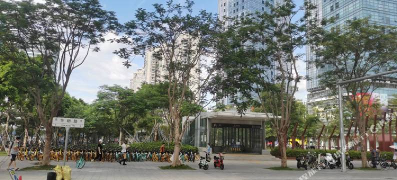 深圳丁香花酒店(南山南油服装城南油地铁站店)图片