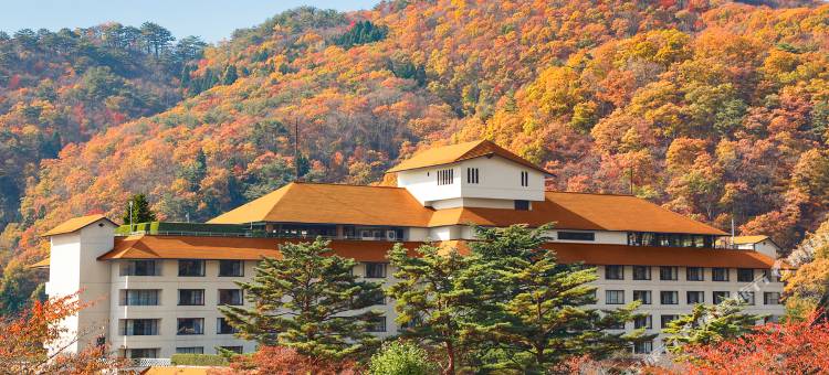 红叶馆酒店(Hotel Koyokan)图片