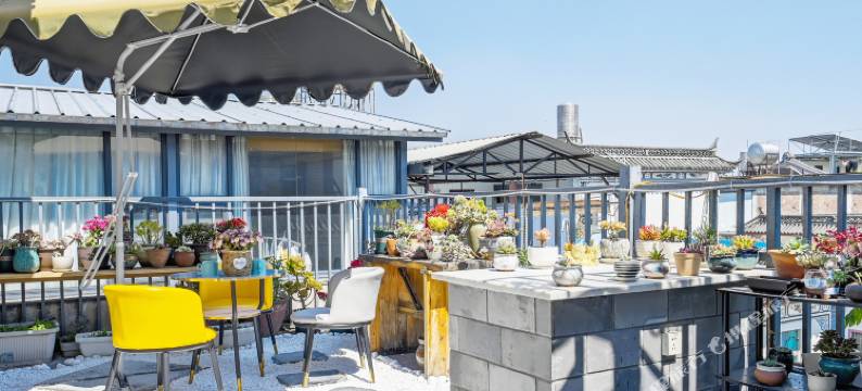 大理梧桐精品民宿图片