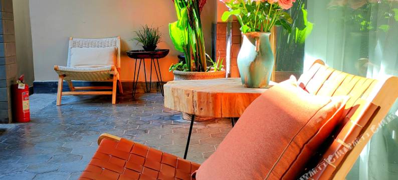 大理古城柿子树小院图片