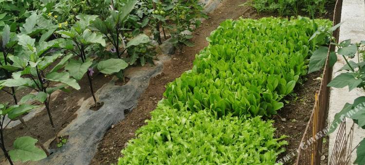 根河市满归镇暖冬宾馆图片