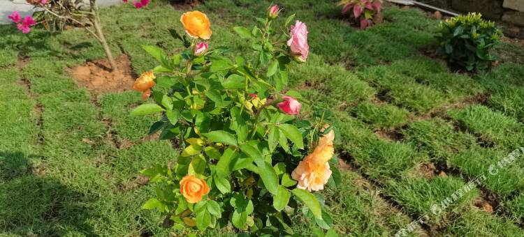 北海铁山港晴悦民宿图片