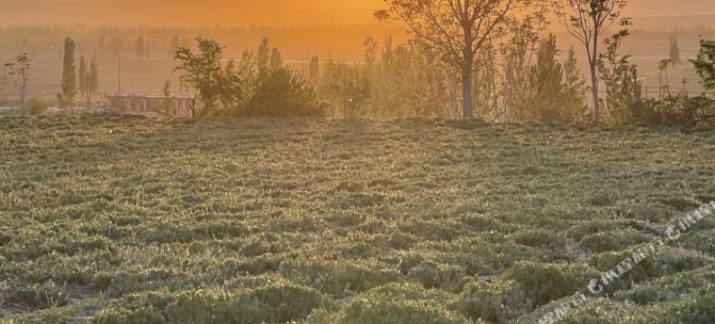 霍城县果子沟水木田园山庄图片