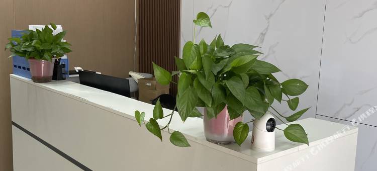 觅趣度假公寓(海口龙湖光年城西站店)图片