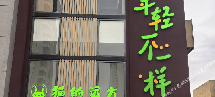猫的远方酒店(大同阳光车城十里河公园店)图片