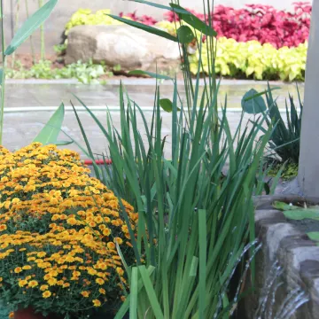 维摩山房精品民宿