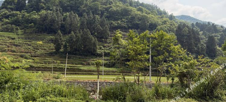 绥阳悦居客栈(双河溶洞飞拉达店)图片
