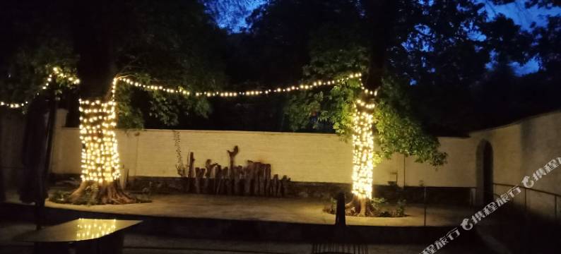 庆元菇语精品民宿图片