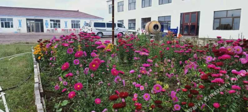 多伦绿丰源农家院图片