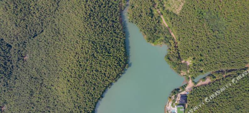 沈居别苑·长兴竹海·环山群抱生态疗愈·轻智能度假美宿图片