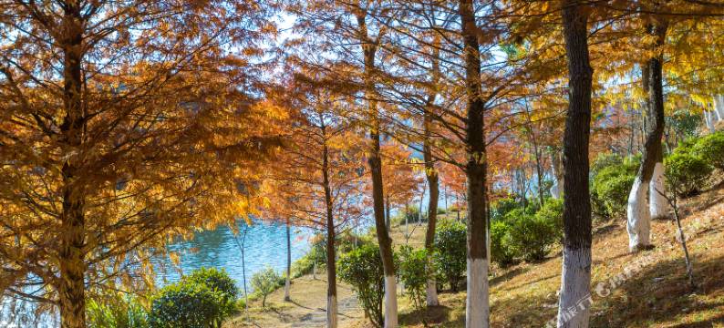 古田山庄(福建古田党员干部教育基地店)图片