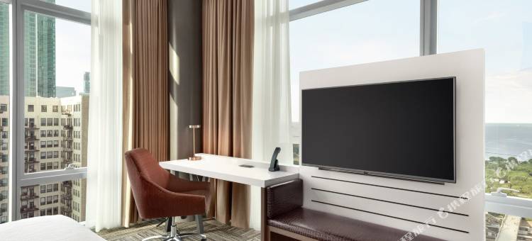 芝加哥市中心南环路希尔顿花园酒店(Hilton Garden Inn Chicago Downtown South Loop)图片